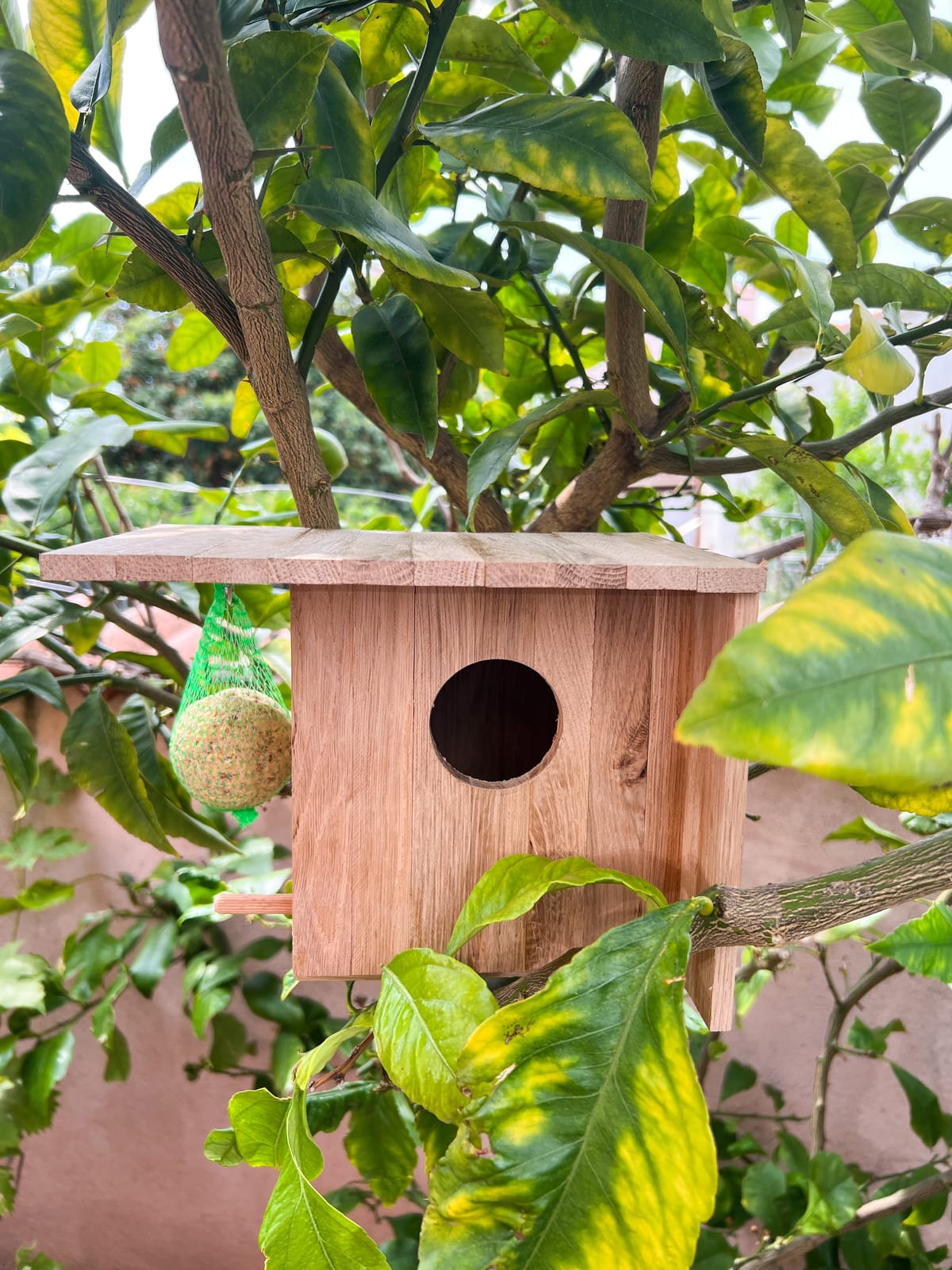 DIY Bird Wood House